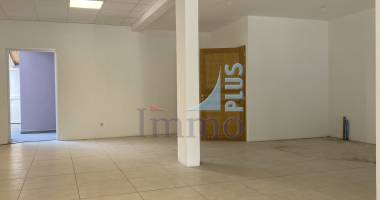 local commercial ou professionnel (tous commerces) salazie