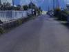 miniature