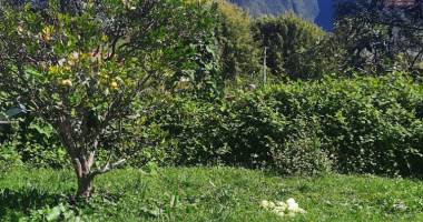 a vendre ensemble immobilier avec jardin