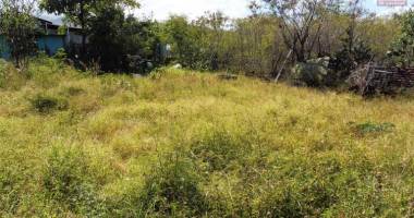 terrain plat constructible de 882 m² situé à piton st leu.