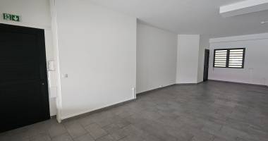 local professionnel / commercial