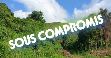 beau terrain de 4421 m2 à vendre en bord de rivière à vieux habitants