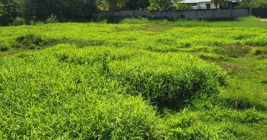 terrain à vendre les abymes