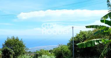 terrain( mont vert les hauts)