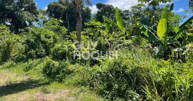 terrain saint benoit 639 m2