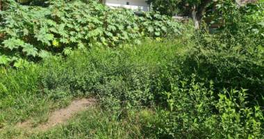 a vendre très beau terrain plat d'environ 450 m² au tampon trois mares