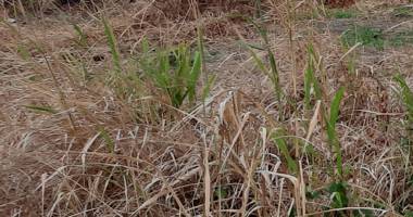 terrain de 2142m² près du centre ville de saint- andré
