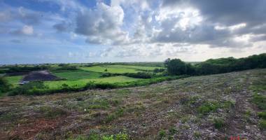 terrain 800m² le moule