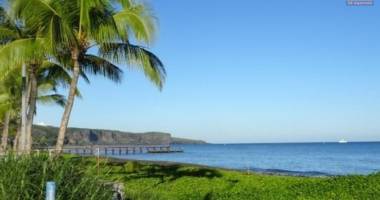 appartement neuf de type t2+varangue+ parking front-de-mer a saint-paul