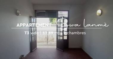 appartement t3 vide en centre ville