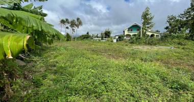 teka immo vous propose a vendre des parcelles de 300m² a vendre sur st benoit, a moins de 5 minutes du gher, ile de la reunion 