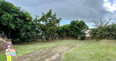À vendre - terrain de 656 m2  situé au guillaume - ref. 244659-c