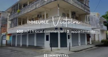 À vendre : immeuble de rapport situé en plein cœur de pointe-à-pitre   opportunité rare sur un axe stratégique