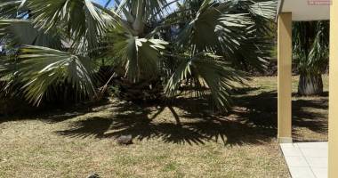 a vendre maison 3 chambres (coup de coeur ofim)