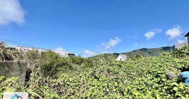 saint joseph 97480 - terrain pret a batir - environnement champetre