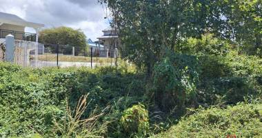 terrain 1754m² au moule