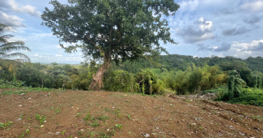 villa plain pied à la vente petit-bourg - retour à la vente