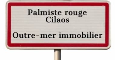 540 m² cilaos palmiste rouge