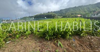 a vendre - terrain de 1 833 m2 environ - saint joseph - 249 900 € hai.