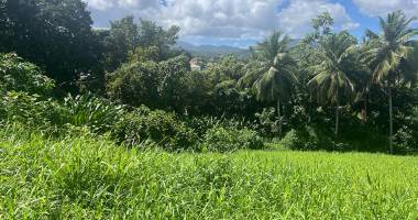 À vendre terrain à roussel lamentin de 1143 m2