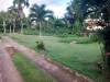 miniature