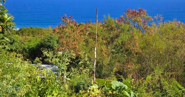 saint-leu - le cap  : terrain constructible 895 m2