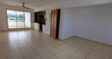 appartement f3 centre ville la riviere st louis