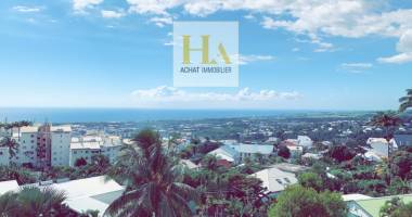 appartement saint denis 2 pièce(s) 55 m2 - moufia