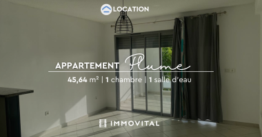 location appartement t2, nu, secteur dugazon aux abymes