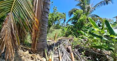 terrain plat à vendre – 316 m² exploitables – chemin lefaguyes, saint-andré