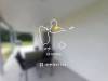 miniature
