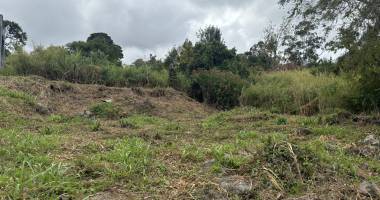 jolie parcelle - zone ub - 13m à l égout et 17m au faitage