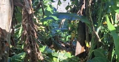 a vendre joli terrain d'env. 400 m2, viabilisé,  tout à l'égout, plat bien situé en ville de st andré