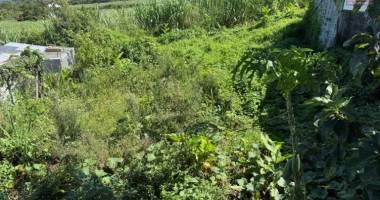 a vendre terrain plat d'environ 200 m²  st pierre   mont vert les bas