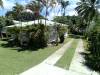 miniature