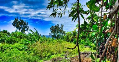 terrain proximité littoral