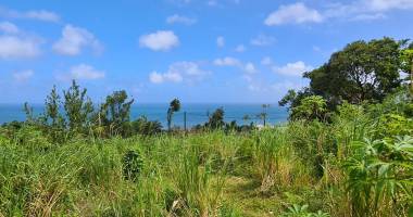 terrain  constructible manapany-les-bains  607 m2 proche commoditÉes