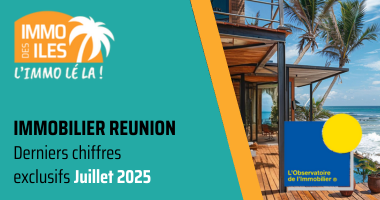 immobilier réunion 2025 : les métropolitains font-ils monter les prix ?